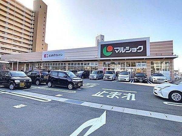 画像6:マルショク東駅店(313m)