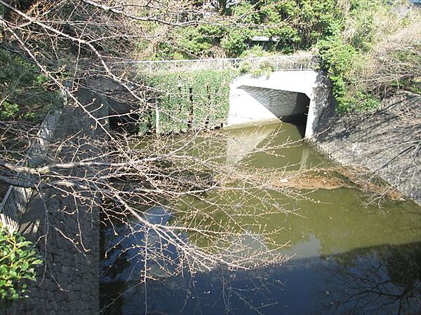 パークハビオ飯田橋 906｜東京都千代田区飯田橋２丁目(賃貸マンション1R・9階・25.04㎡)の写真 その21