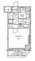ミルーナヒルズ錦糸町2階9.0万円