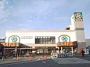 ライフ横堤店 徒歩4分。 310m
