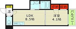 NEOSION 1LDKの間取図画像