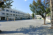 【中野区立平和の森小学校】徒歩4分（300ｍ）