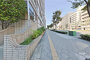 敷地北側の前面道路