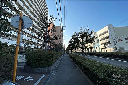 敷地南西側の前面道路(北西側から)