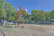 生玉公園の外観