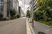 敷地東側の前面道路（北側から）