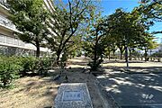 敷地に隣接する鴫野公園