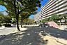 周辺：鴫野公園の外観