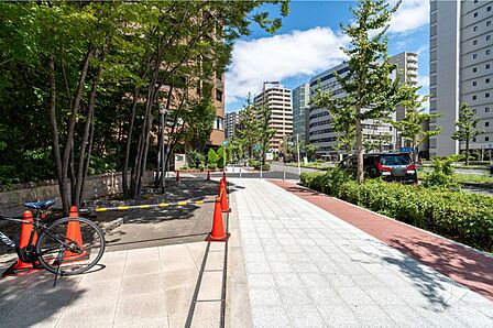 敷地南西側の前面道路(南側から)