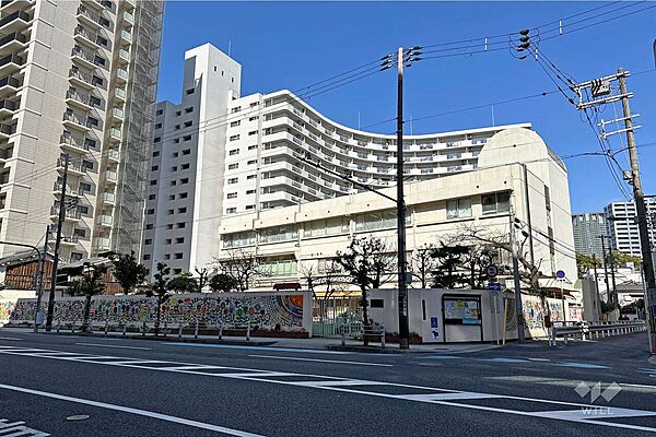 周辺を拡大表示