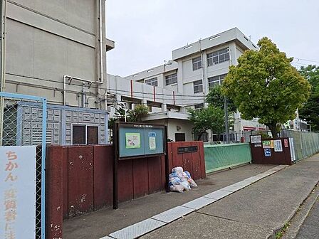 錦が丘小学校 550m