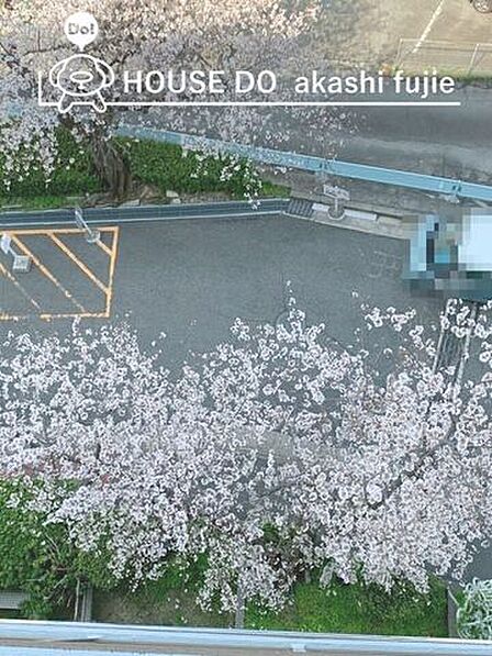 2026.4.3撮影　家族の笑顔が咲く、桜の街の住まい
