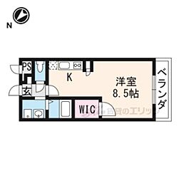 アンプルール　フラーリッシュ