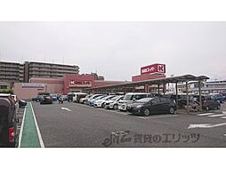 アルペンローゼ