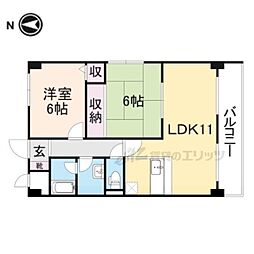 プリムローズタカダ