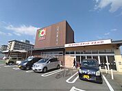 イズミヤ　橿原神宮前店まで650メートル