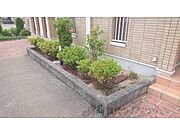 植栽