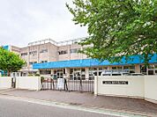 周辺環境-小学校(255m)松戸市立新松戸南小学校