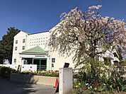 周辺環境-小学校(1000m)春日部市立桜川小学校