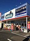 周辺環境-ドラッグストア(300m)ウエルシア春日部藤塚店
