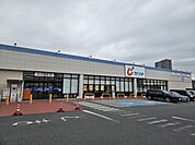 カワチ薬品 つくばみどりの店