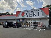 ドラッグストアセキ辺田店