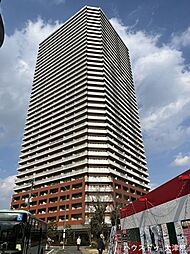 8 / 42