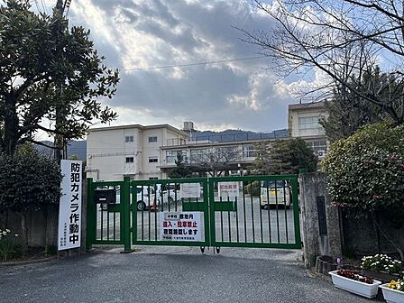 皇子山中学校 150m