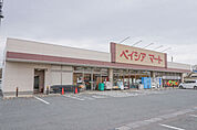 ベイシアマート伊勢崎国定店 671m