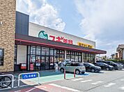 スギドラッグ上並榎店 250m