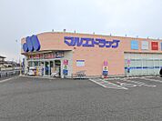 マルエドラッグ前橋西片貝店 675m