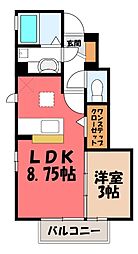 アムール C 1階/-