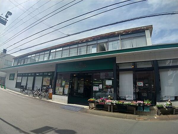 画像15:【スーパー】エコ・ピア薬円台店まで984ｍ