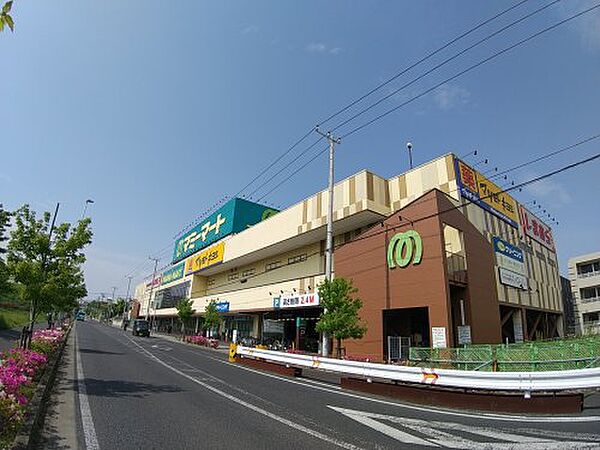 画像29:【スーパー】マミーマート 飯山満駅前店まで379ｍ