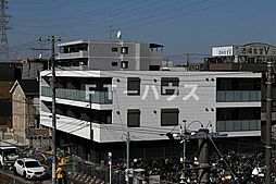 メイプルツリー