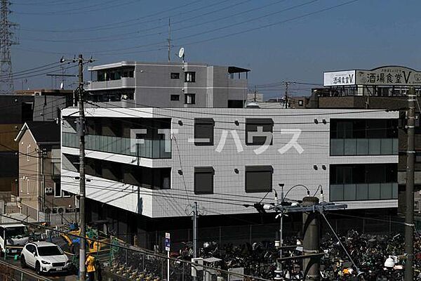 メイプルツリー