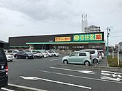 杏林堂薬局 有玉南町店（1343m）