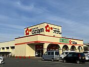 スーパーオザム大楽寺店迄340ｍ