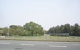 レガリア新豊 205 ｜ 愛知県豊川市新豊町2丁目113番地2（賃貸マンション1LDK・2階・52.89㎡） その19