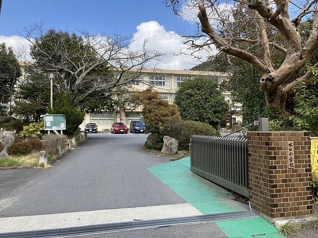 Image 35