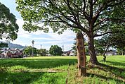 若竹公園 1410m