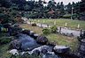 周辺：青山水道遊園 徒歩13分。 1000m