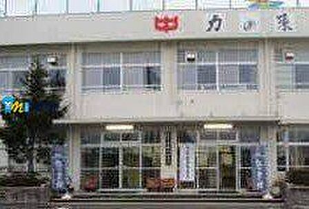 新潟市立東新潟中学校 徒歩20分。 1600m