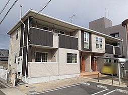 パイン・フィールズ