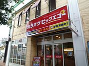 ビックエコー 60m