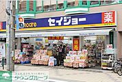 くすりセイジョー 徒歩6分。ドラックストア 450m