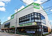 コープ中野鷺宮店 290m