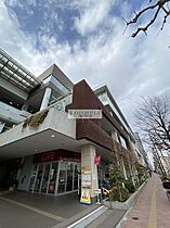 アヴァンティ哲学堂公園 107 ｜ 東京都新宿区西落合１丁目25-9（賃貸マンション1K・1階・19.32㎡） その28