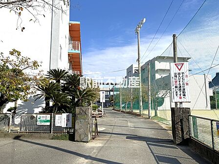 柳河小学校
