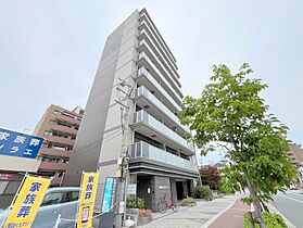 メゾン田中-平野  ｜ 大阪府大阪市平野区平野東3丁目（賃貸マンション1K・10階・30.53㎡） その1